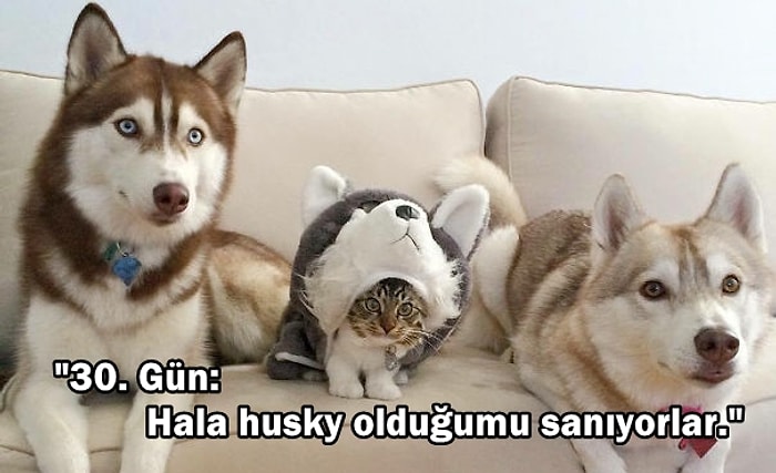 Ait Olmadıkları Ortama Ayak Uydurmanın Kitabını Yazmış 29 Numaracı