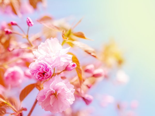 2. А какой цвет доминирует здесь?