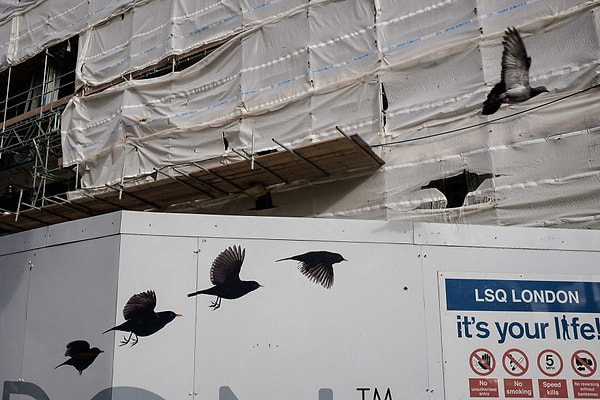 3. Пау Бускато — Уличная фотография