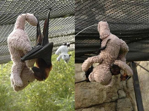 1. Зависает с другом