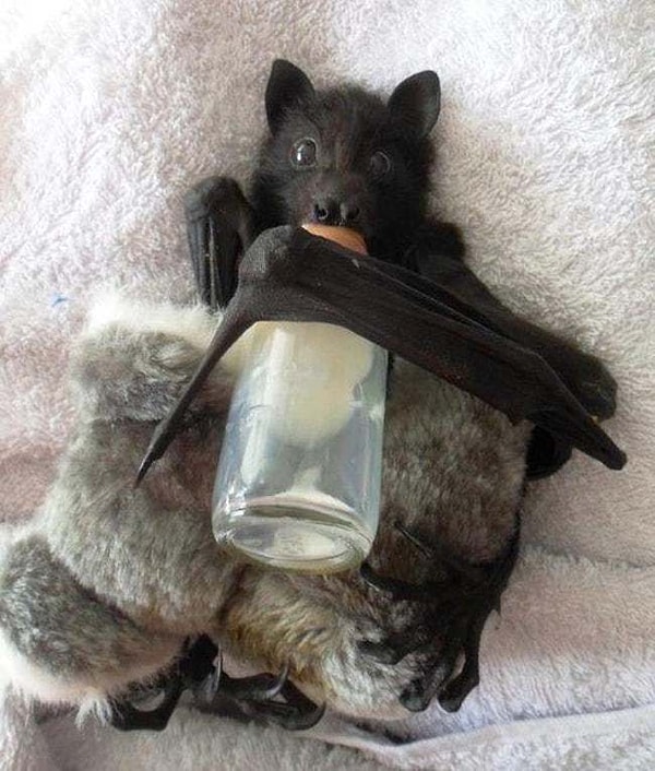 10. Со своей любимой бутылочкой