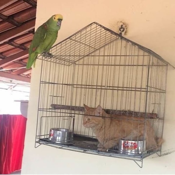 22. Да что ты знаешь о наглости???