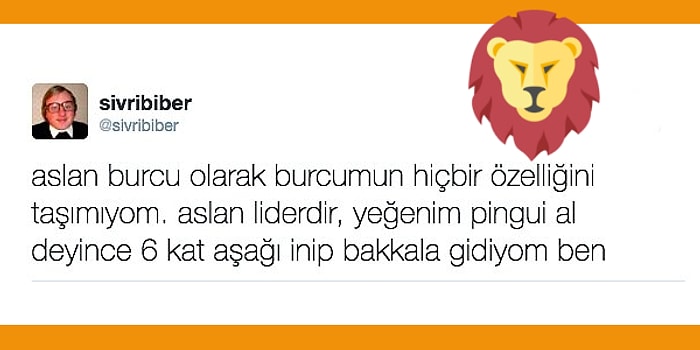 Bu Testin Son Sorusunu Sadece Aslan Burcu İnsanları İyi Tanıyanlar Görebilecek!