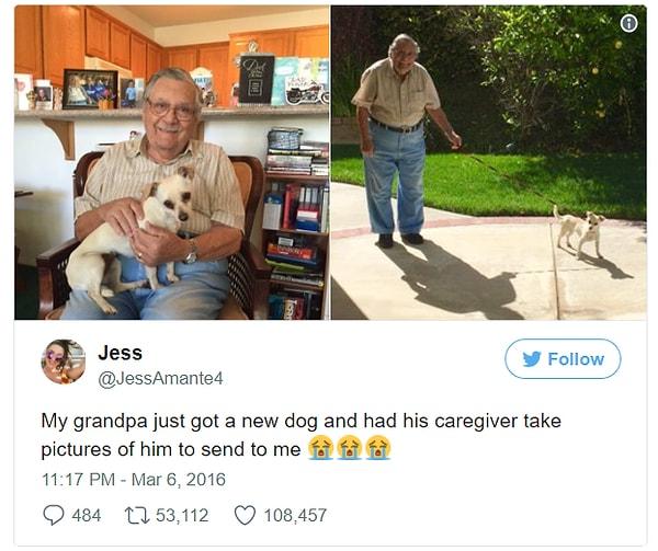 2. "Dedem yeni bir köpek sahiplenmiş. Yardımcısına fotoğraf çektirip bana gönderdi."