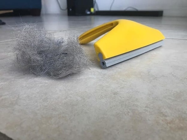 Показать правильный ответ