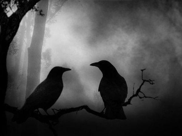 5. Что пугает вас больше всего?