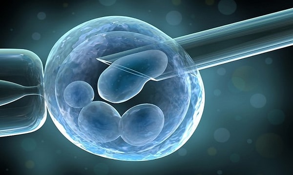5. Предположительно, таким образом можно будет избежать появления около 10 тыс. разновидностей болезней, включая рак груди и яичников, бета-талассемию, серповидноклеточную анемию и муковисцидоз.