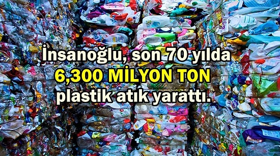 Bilimin Temmuz Ayında İnsanlığa Kattığı 21 Gelişme