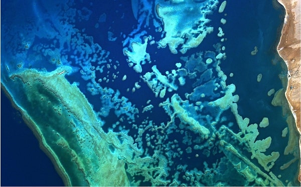 1. "Они называют это море Красным, но в нем так много голубой лазури. Я поражён тому, насколько яркими выглядят краски из космоса!"