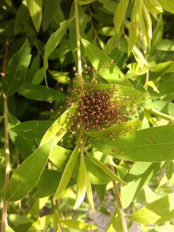 16. О, Господи!