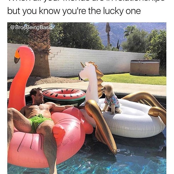 15. Когда все твои друзья в отношениях, а ты счастливчик