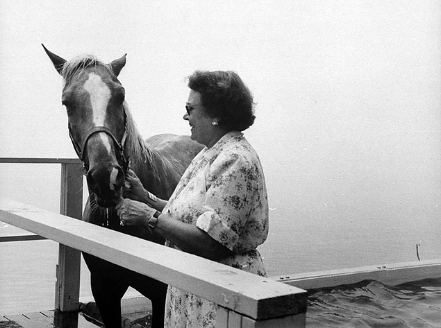 А вот лошадка уже получает морковку после успешного прыжка (1953 год).