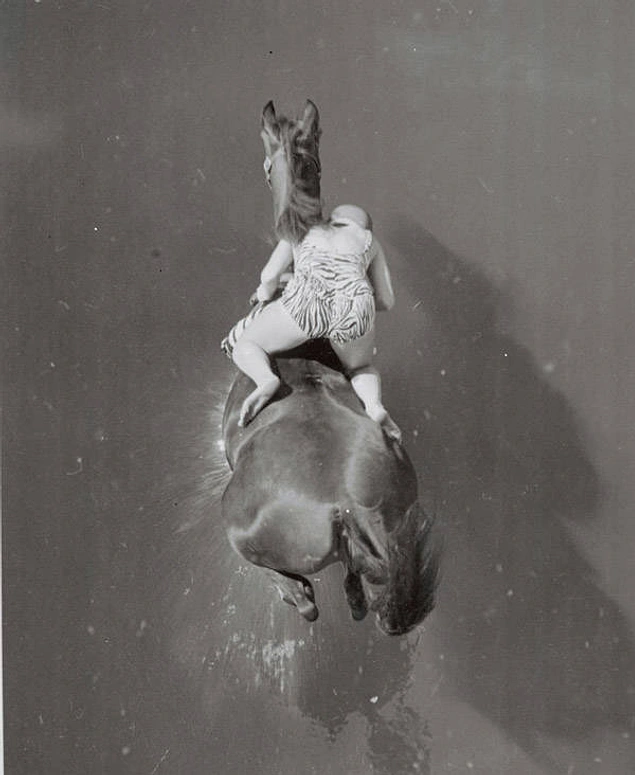 Вот наездница на лошади приземляется в воду после прыжка: