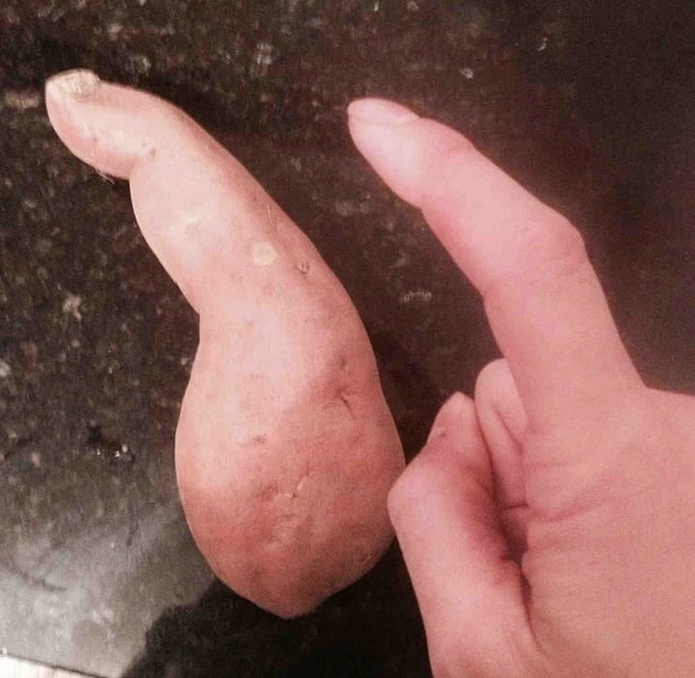Морковь точь-в-точь как палец... Что за..?