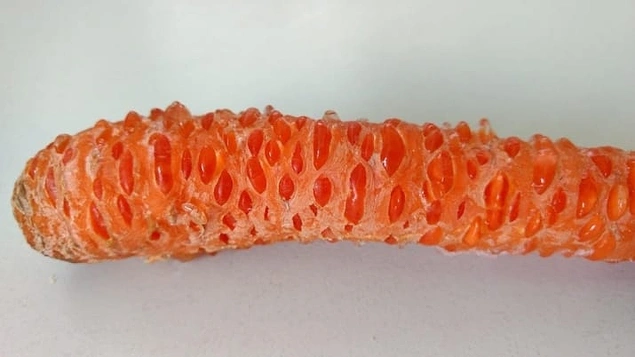 Если вдруг ваша морковь замёрзнет, не пугайтесь, ведь выглядеть она будет именно так 😱