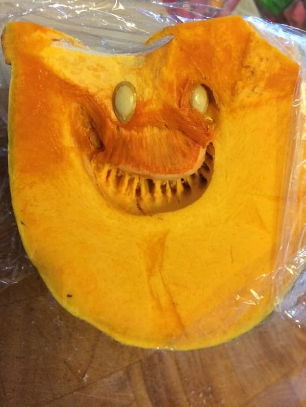 14. Тыква для Хэллоуина, сделанная самой природой
