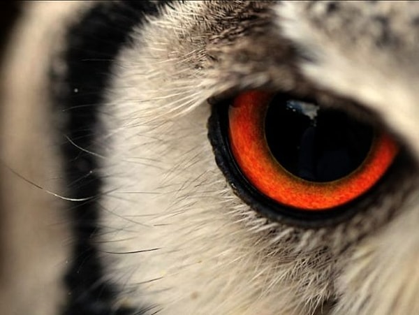 4. В какое время суток вы чувствуете себя комфортно?