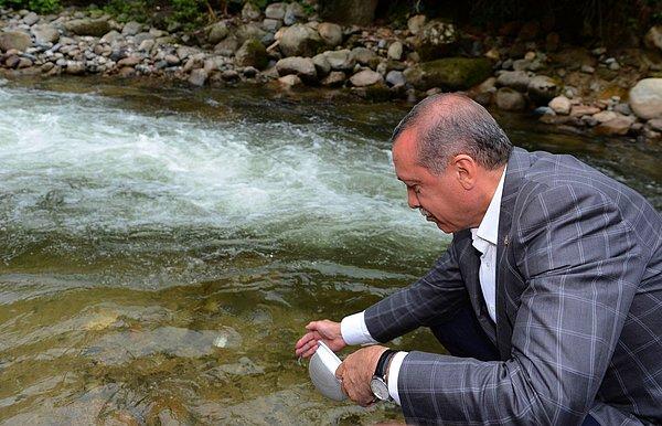 Cumhurbaşkanı Erdoğan 'Ayder'i rezil ettik' demişti.