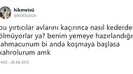 Twitter Mizahının Baş Aktörlerinden Ridollega'nın Keskin Zekasından 15 Komik Tweet