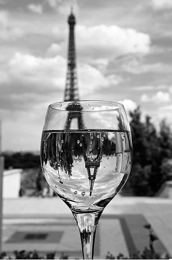 10. Пищеварение