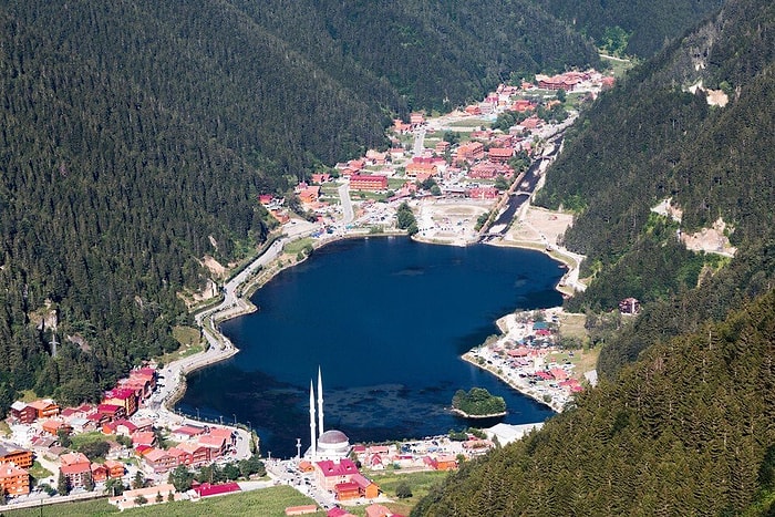 Yeşilin Yerini Betonarmenin Aldığı Uzungöl'de Yeni Proje: Tabiat Macera Parkı Yapılacak