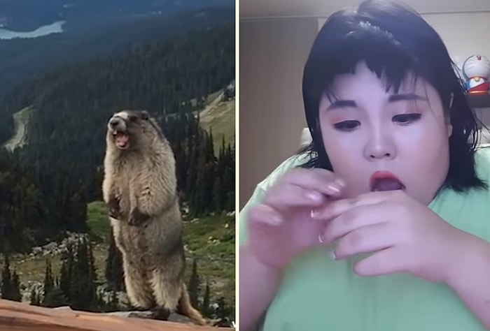 Aşırı Zor Gülmeme Challenge'ında Başarılı Olabilecek misiniz?