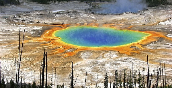 4. Каков ваш ответ будет на этот раз?