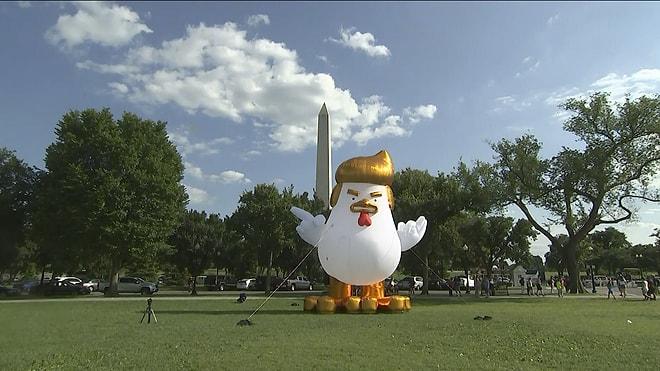 Dev Trump Tavuk, Beyaz Saray'un Bahçesine Konuldu