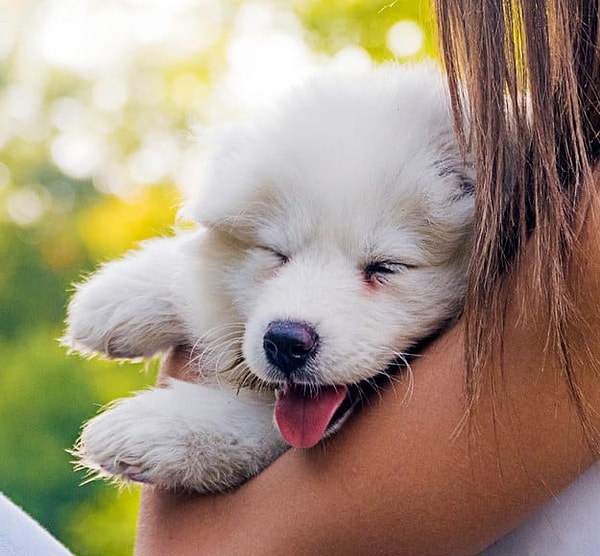 Ты - самоед!