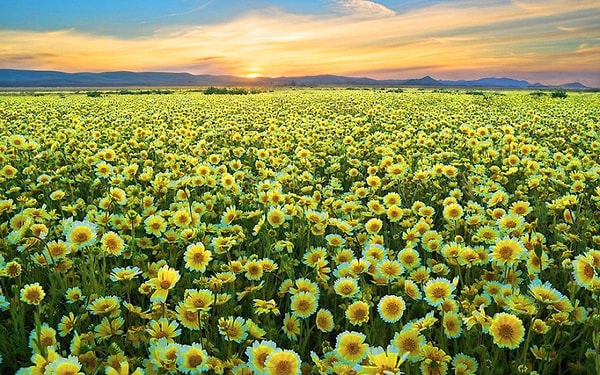 Вы родились в апреле!