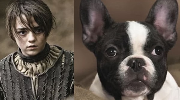 5. Арья Старк