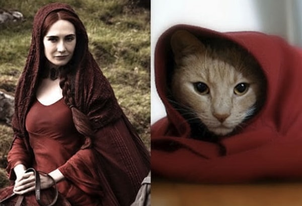 7. Мелиссандра