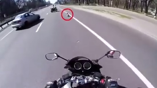 Yolun Ortasında Kalan Köpeği Takım Çalışmasıyla Kurtaran Güzel İnsanlar