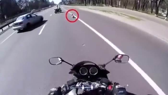 Yolun Ortasında Kalan Köpeği Takım Çalışmasıyla Kurtaran Güzel İnsanlar