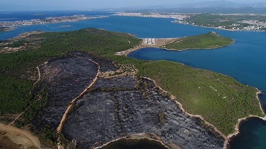 'Oraya Villa Yapamayacaksınız!' Demişti: Ayvalık’a Fidan Dikme Çağrısı Yapan Haluk Levent'e Bakanlıktan Olumlu Yanıt