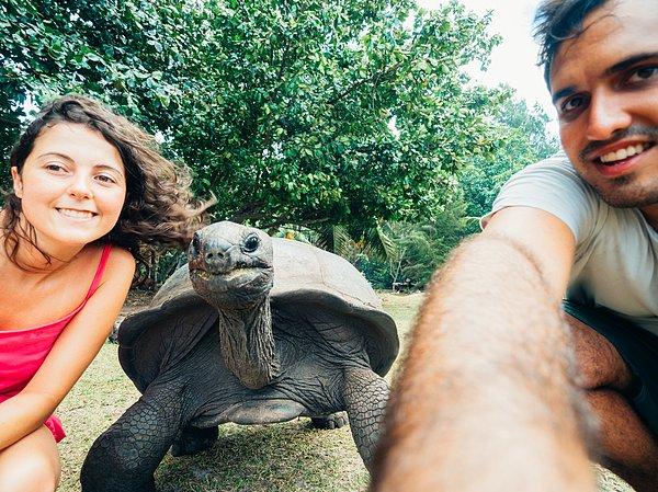 3. Telefonu eline aldığında yalnızca bir kez poz veren şirin kaplumbağayla fotoğraf çekerken telefonumuzun elimizden kaydığı bu selfie:
