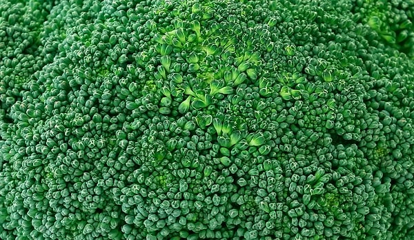 3. Что на фотографии?