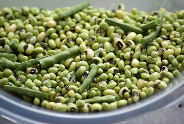 9. Что на фотографии?