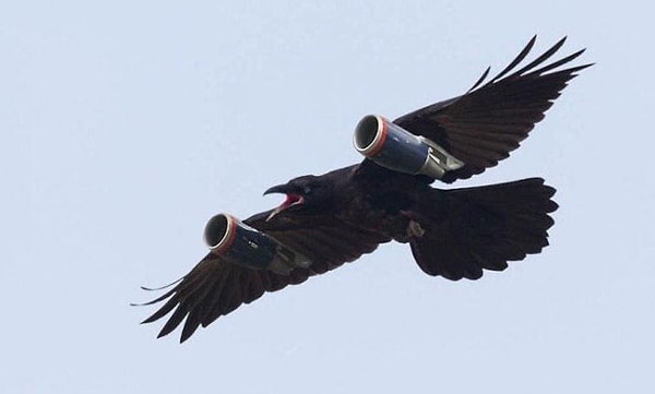 11. Вот как новости так быстро разлетаются по Вестеросу