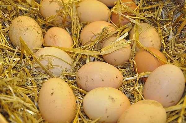 2. Грязные деревенские яйца