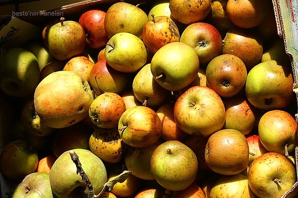 10. Органические продукты