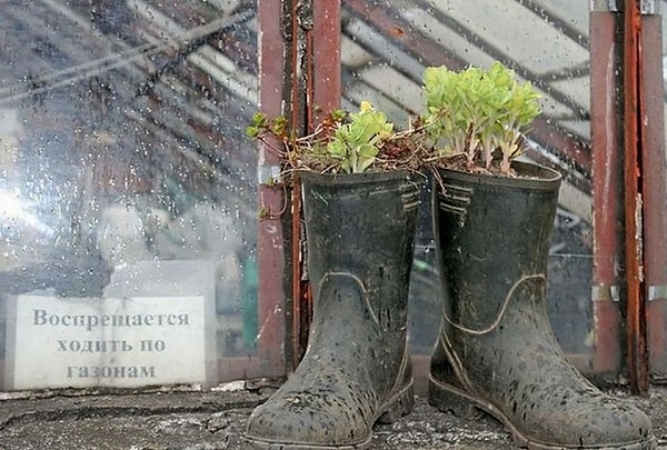 22. Только экология, только реюз!