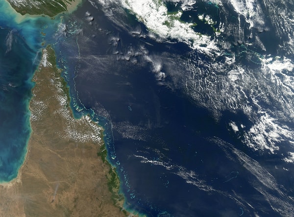 10. И последний вопрос! Что вы видите здесь?