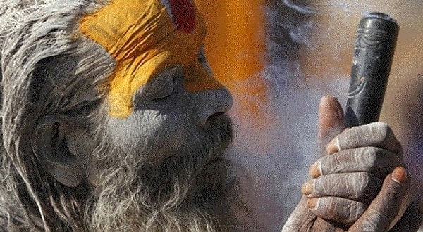 13. Марихуана является законной во многих регионах.