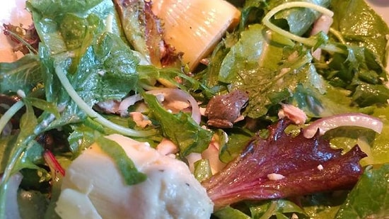 Salatasından Çıkan Minik Kurbağayı Evlat Edinen Kadın: Becky Garfinkel ile Tanışın!