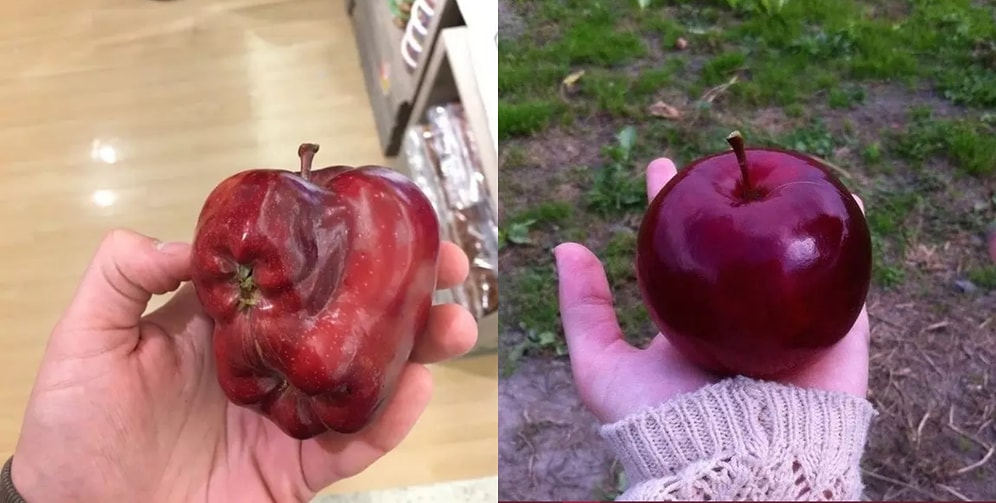 Эти 14 пар фото сначала взбесят, а потом успокоят любого перфекциониста