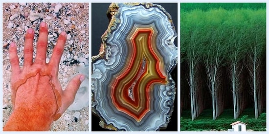 Bakmak Değil, Görmek Gerek! Hayatın Bazen Bedavaya Terapi Verdiğini Kanıtlayan 27 An