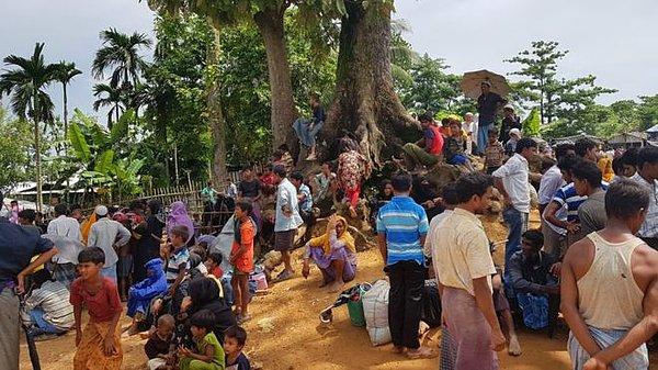 Kutupalong kampındaki bu ağacın altında 100'den fazla Arakanlı Müslüman yaşıyor. Bazıları yiyecek bekliyor, bazıları da akrabalarının buraya ulaşabilmesini...