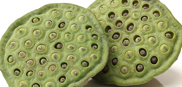 13. И наконец ваши мысли об этой фотографии: