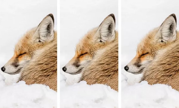 14. И наконец, последний вопрос: